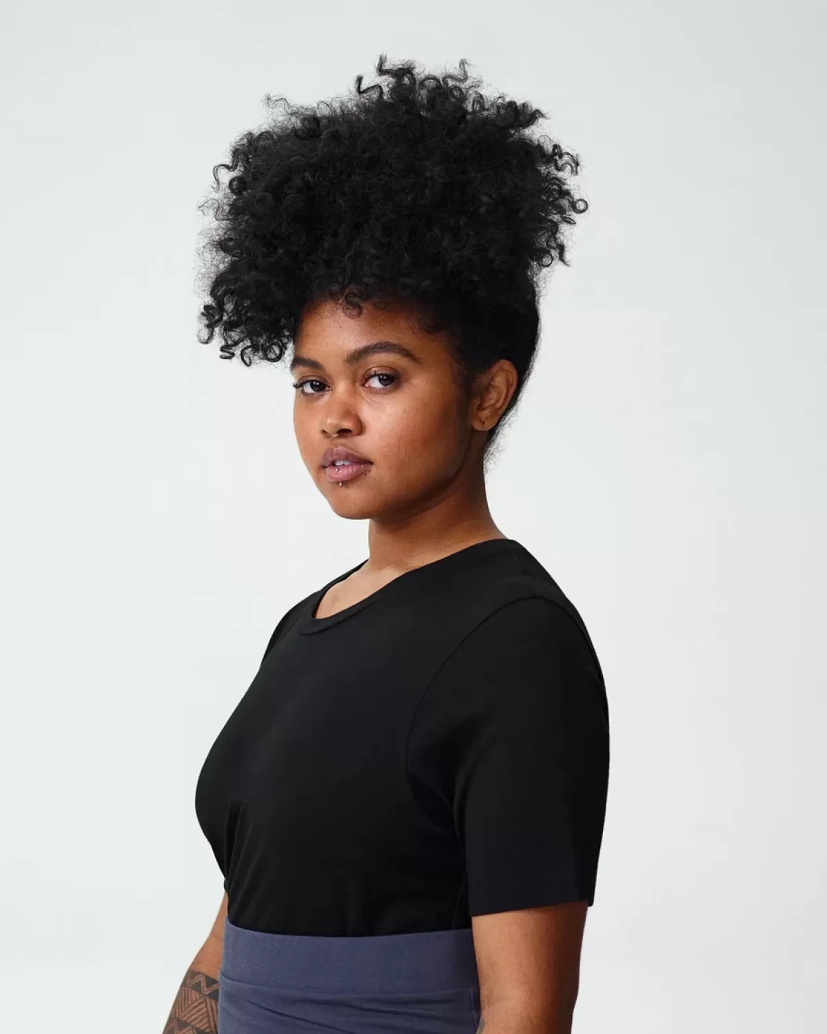 Petite Tee Rex>Universal Standard Online