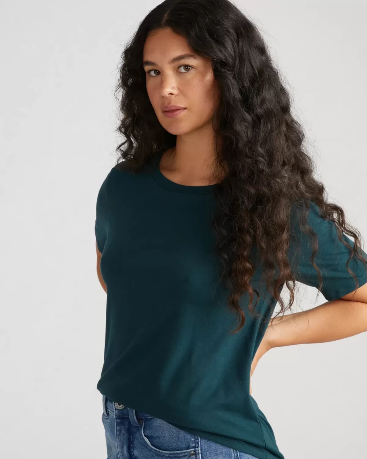 Tee Rex>Universal Standard Shop