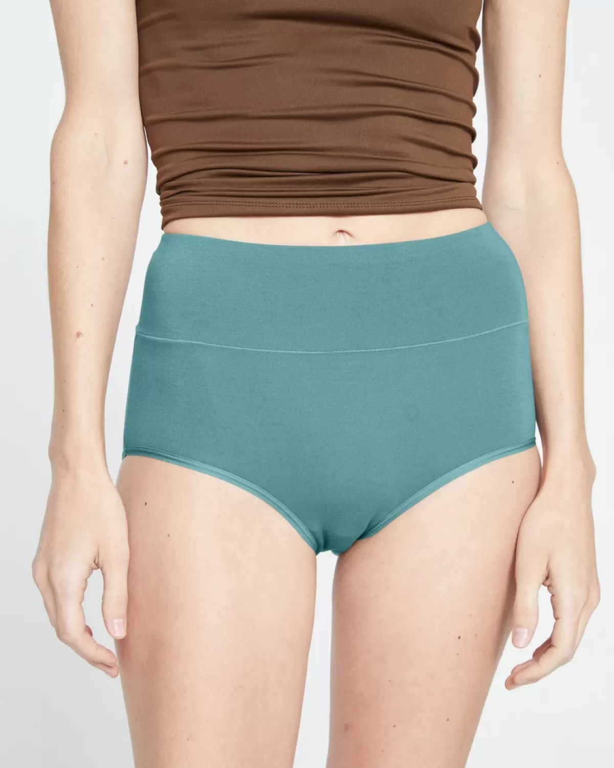 UltimateS Full Coverage High Rise Brief>Universal Standard Shop